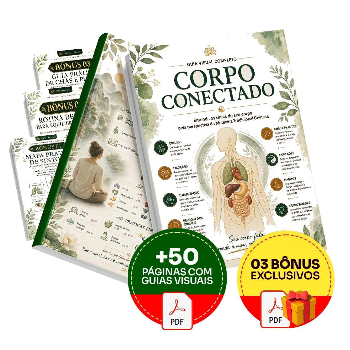 Mockup completo do Corpo Conectado